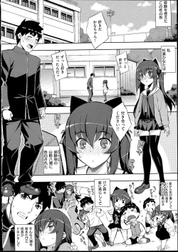 Page 10 of NETORARE X NETORARE