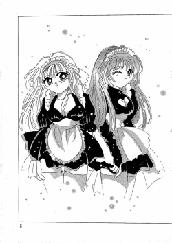 Page 4 of Secret Garden