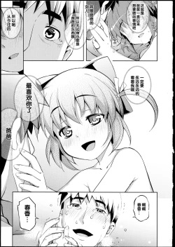 Page 204 of NETORARE X NETORARE