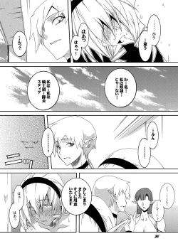 Page 26 of Dorei Kishi Stia III