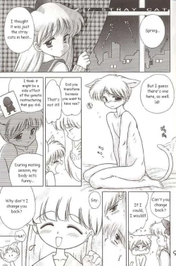 Page 1 of Sailor Venus - The Stray Cat