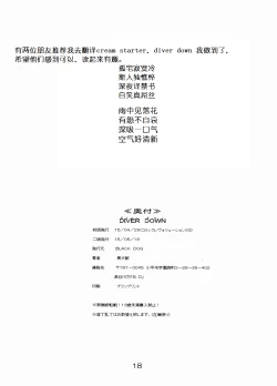 Page 17 of Diver Down