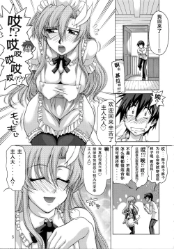 Page 4 of A Diva of Healing