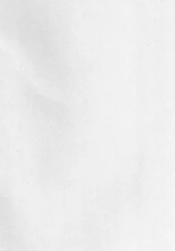 Page 4 of PL/RAY END