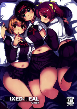 Download MIXED-REAL Union