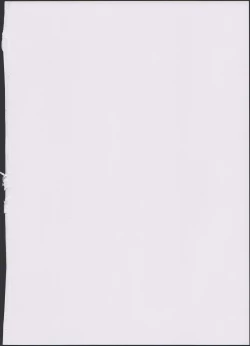 Page 2 of Alice Complex