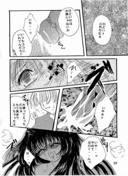 Page 17 of Secret Garden