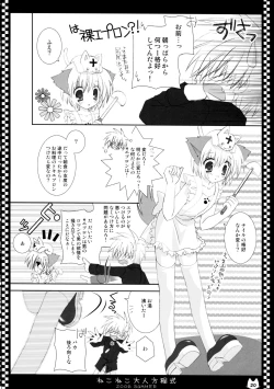 Page 20 of NekoNeko Otona Houteishiki