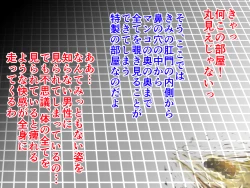 Page 10 of Unchi Pack