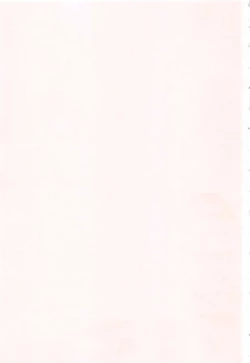 Page 239 of Japanese Preteen Suite