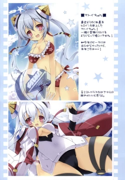 Page 3 of PSO2 no Usuillust Hon.