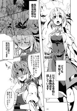 Page 22 of Touhou Ishu Kan Goudou