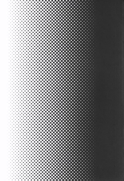 Page 38 of Shiroki Ikoku no Verniy