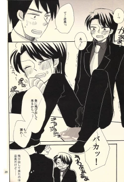 Page 28 of Ichijojojo