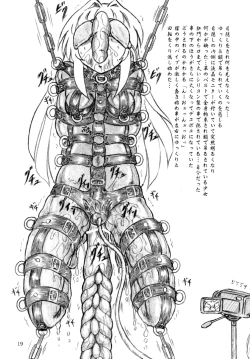 Page 19 of Seiyoku Shinryousho