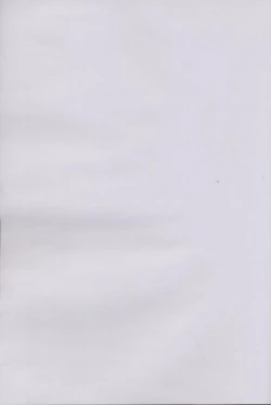 Page 35 of 半獣半霊騒動記