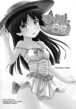 Page 3 of Ore no Kouhai ga Maji Shironeko!
