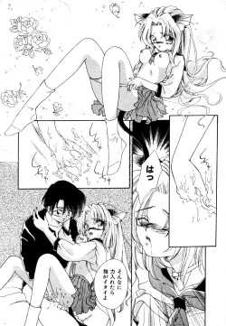 Page 36 of Neko Masshigura!