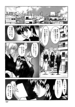Page 188 of Hitomi no Karte 4