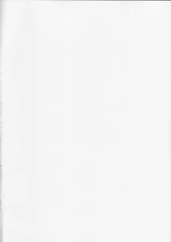 Page 2 of D.L. action 19