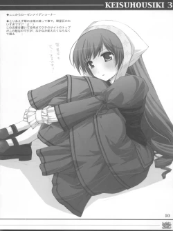 Page 10 of KEISUHOUSIKI 3