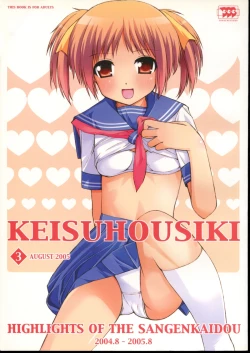 Page 1 of KEISUHOUSIKI 3