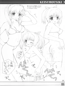 Page 26 of KEISUHOUSIKI 3
