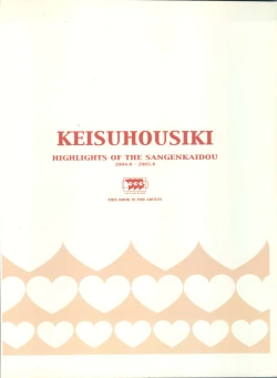 Page 2 of KEISUHOUSIKI 3
