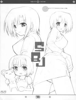 Page 20 of Keisuhousiki 2