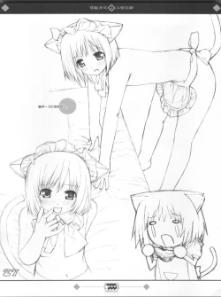 Page 27 of Keisuhousiki 2