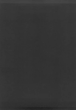 Page 313 of 沙雪の里