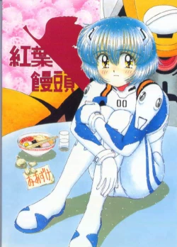 Page 26 of Ayanamicchi