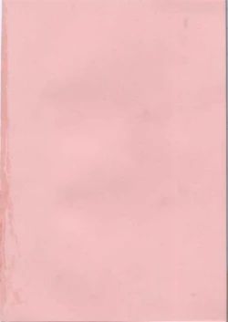 Page 194 of Pink no Ana - Hole of Pink