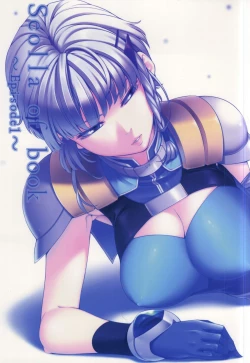 Page 1 of Seolla of book