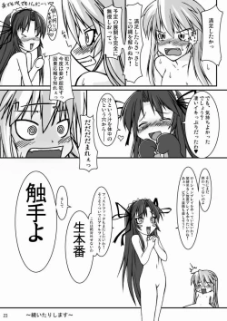 Page 22 of NACOTO SHA-HON 4