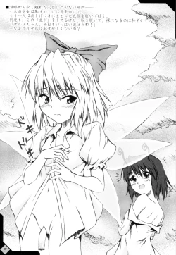 Page 4 of Touhou Eros 1/2