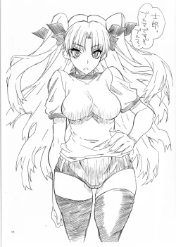 Page 19 of Rin to saber 1st Ver0.5