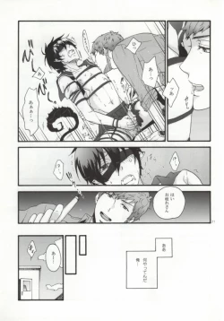 Page 19 of SHIBA RIN HAKU SYO