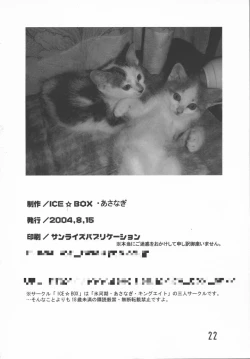 Page 21 of Evening Star