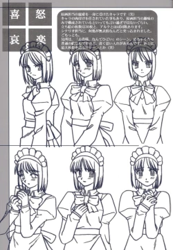 Page 28 of Tsukihime Dokuhon