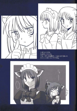 Page 36 of Tsukihime Dokuhon
