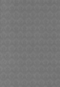 Page 4 of ambivalenz | Ambivalence