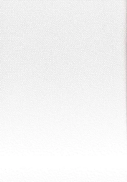 Page 24 of sukide uzuite