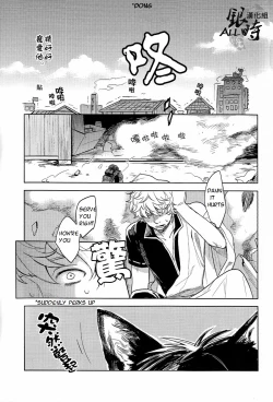 Page 41 of HOW to SPOIL YOUR DOG