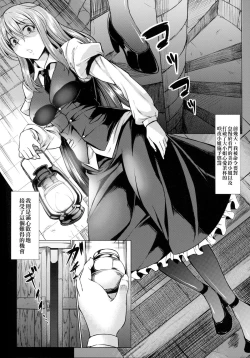 Page 3 of MeiSaku Choukyou Nikki