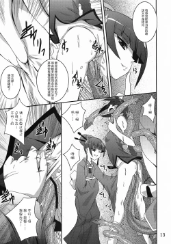 Page 13 of Discount ticket