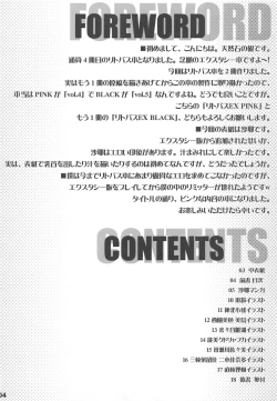 Page 3 of Lit Bus EX PINK