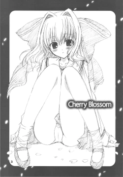 Page 2 of Cherry Blossom