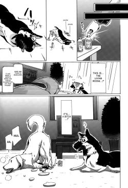 Page 5 of Jyukan Hitozuma Kasumi <Zenin Choukyouzumi> | Bestiality Rape Housewife Kasumi <Everyone is Fully Trained>