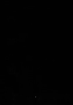 Page 3 of Yuuwaku Usagi wa Mazo Usagi